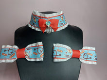 Load image into Gallery viewer, Let's Play Doctor Collar and Bow Set
