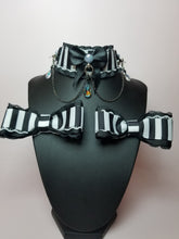 Load image into Gallery viewer, Stripey Vibes Collar and Bow Set