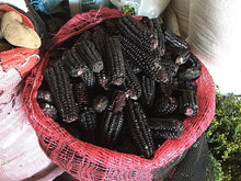 Load image into Gallery viewer, Purple Corn Maiz Morado Goth Garden Seeds Pack
